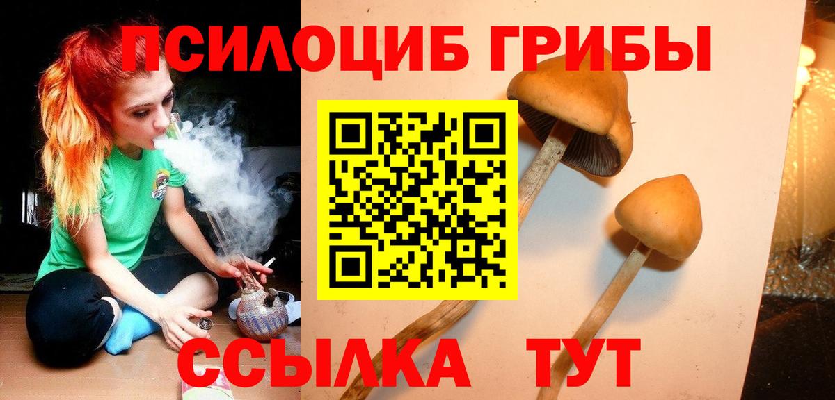 Галлюциногенные грибы ЛСД Качканар