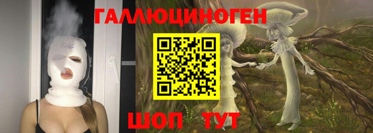 Качканар  Псилоцибиновые грибы Cubensis  Вход с VPN 